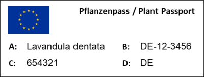 Beispiel Pflanzenpass_Lavandula - © Dr. Regina Alver Beispiel Pflanzenpass_Lavandula