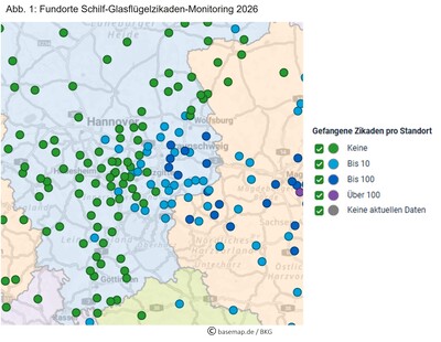 Abb. 1: Fundorte Schilf-Glasfl&uuml;gelzikaden-Monitoring 2026