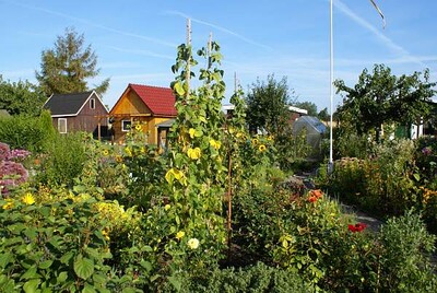 Kleingarten Bullenkoppel - 8 -