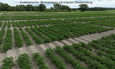 Exaktversuche: Blockanlagen mit 4-facher Wiederholung