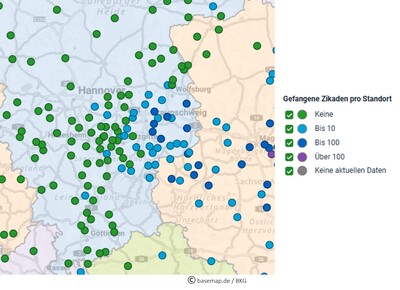 Fundorte Schilf-Glasfl&uuml;gelzikaden-Monitoring 2026