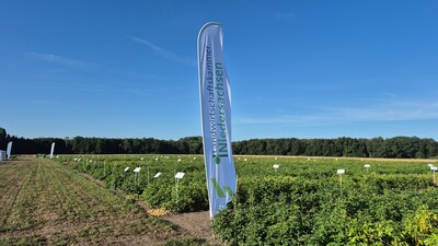 Kartoffel-Feldtag in Goldenstedt 2026