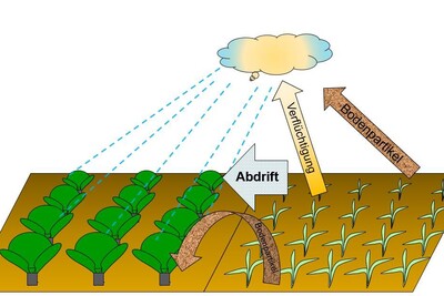 Abdrift - © Dr. Alexandra Wichura Diagramm zeigt Pflanzen, Wolke, Pfeile für Verflüchtigung, Abdrift und Bodenpartikel. Links grüne Pflanzen, rechts trockener Boden.