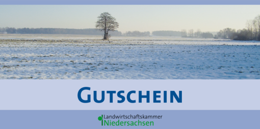 Gutscheinmotiv