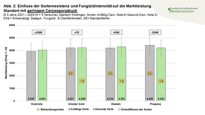 Abbildung 2 Einfluss der Sortenresistenz und Fungizidintensit&auml;t auf die Marktleistung Standort mit geringem Cercosporadruck