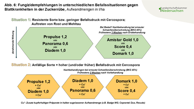 Abbildung 6 Fungizidempfehlungen Zuckerr&uuml;be