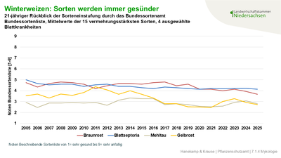 Abb. 1: Winterweizen Sorten werden immer gesünder - © Dr. Hendrik Hanekamp Grafik Winterweizen Sorten werden immer gesünder