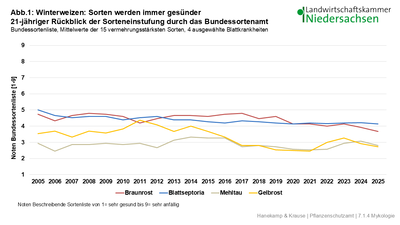 Abbildung 1: Winterweizen: Sorten werden immer ges&uuml;nder