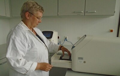 Beladung der qPCR-Geräte mit Proben