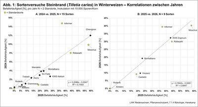 Abb.1: Steinbrand in WW Korrelationen der Sortenergebnisse &uuml;ber 3 Jahre