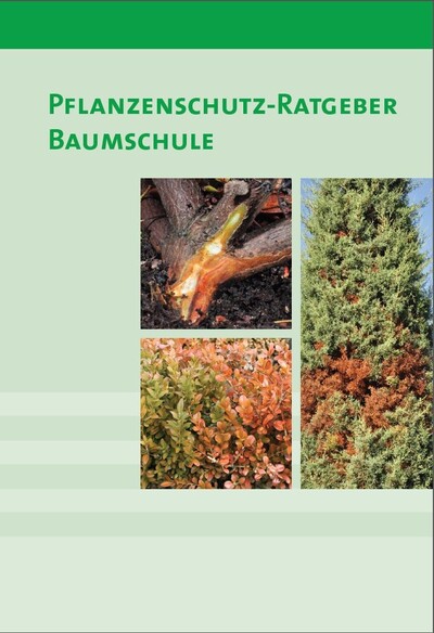 Ratgeber Baumschule