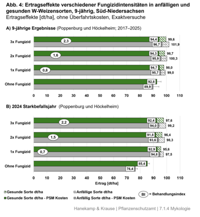 Abbildung 4: Ertragseffekte verschiedener Fungizidintensit&auml;ten in anf&auml;lligen und gesunden W-Weizensorten, 9-j&auml;hrig, S&uuml;d-Niedersachsen
