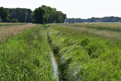 Gewässerrandstreifen Gewässer 2. Ordnung - © Nora Kretzschmar Gewässerrandstreifen Gewässer 2. Ordnung